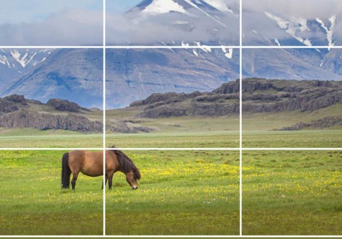 Rule of Thirds: A Comprehensive Guide to Composition Techniques